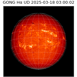 gong - 2025-03-18T03:00:02