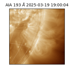 saia - 2025-03-19T19:00:04.843000