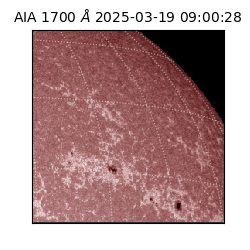 saia - 2025-03-19T09:00:28.717000