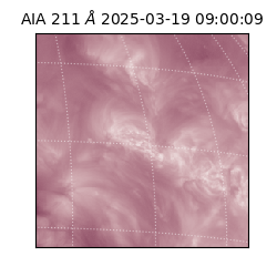 saia - 2025-03-19T09:00:09.622000