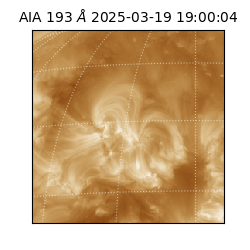 saia - 2025-03-19T19:00:04.843000