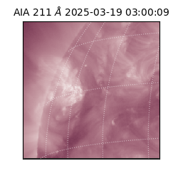 saia - 2025-03-19T03:00:09.623000