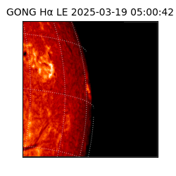 gong - 2025-03-19T05:00:42