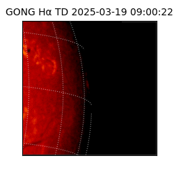 gong - 2025-03-19T09:00:22