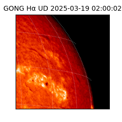 gong - 2025-03-19T02:00:02