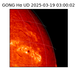 gong - 2025-03-19T03:00:02