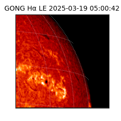 gong - 2025-03-19T05:00:42