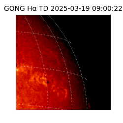 gong - 2025-03-19T09:00:22