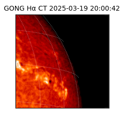 gong - 2025-03-19T20:00:42