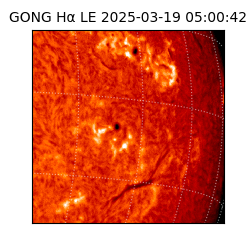 gong - 2025-03-19T05:00:42