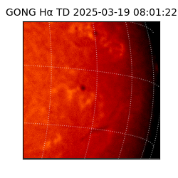 gong - 2025-03-19T08:01:22