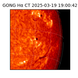 gong - 2025-03-19T19:00:42