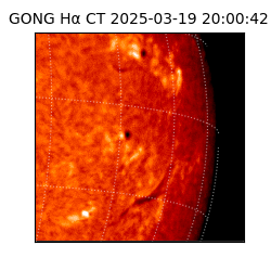 gong - 2025-03-19T20:00:42