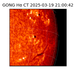 gong - 2025-03-19T21:00:42