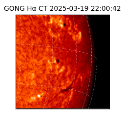 gong - 2025-03-19T22:00:42