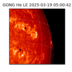 gong - 2025-03-19T05:00:42