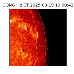 gong - 2025-03-19T19:00:42