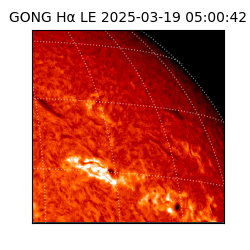gong - 2025-03-19T05:00:42