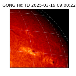 gong - 2025-03-19T09:00:22