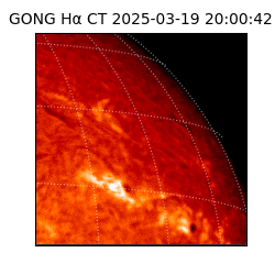 gong - 2025-03-19T20:00:42