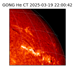 gong - 2025-03-19T22:00:42