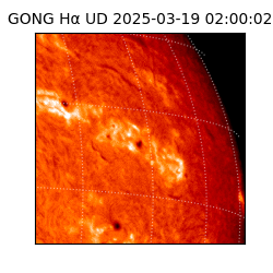 gong - 2025-03-19T02:00:02