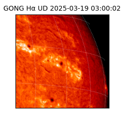 gong - 2025-03-19T03:00:02