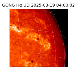 gong - 2025-03-19T04:00:02