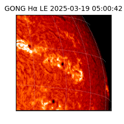 gong - 2025-03-19T05:00:42
