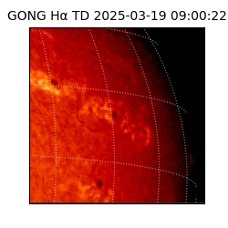gong - 2025-03-19T09:00:22