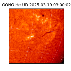 gong - 2025-03-19T03:00:02