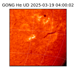 gong - 2025-03-19T04:00:02