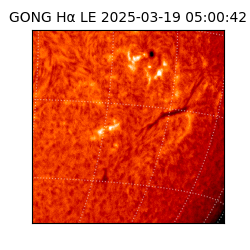 gong - 2025-03-19T05:00:42