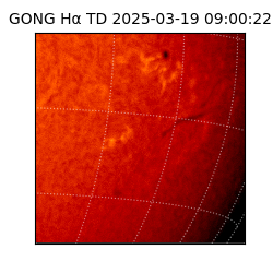 gong - 2025-03-19T09:00:22