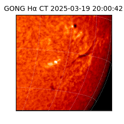gong - 2025-03-19T20:00:42