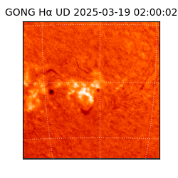 gong - 2025-03-19T02:00:02