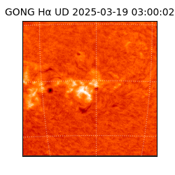 gong - 2025-03-19T03:00:02