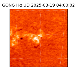 gong - 2025-03-19T04:00:02