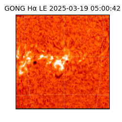 gong - 2025-03-19T05:00:42
