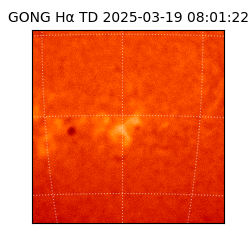 gong - 2025-03-19T08:01:22