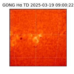 gong - 2025-03-19T09:00:22