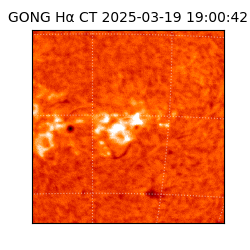 gong - 2025-03-19T19:00:42