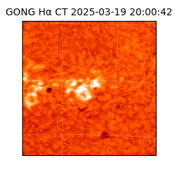 gong - 2025-03-19T20:00:42