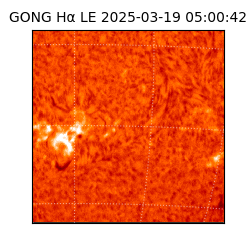 gong - 2025-03-19T05:00:42