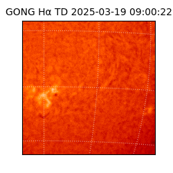 gong - 2025-03-19T09:00:22