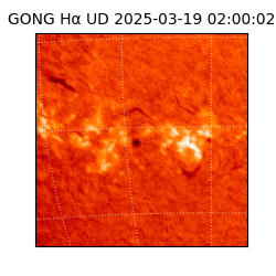 gong - 2025-03-19T02:00:02