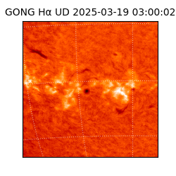 gong - 2025-03-19T03:00:02