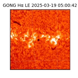 gong - 2025-03-19T05:00:42