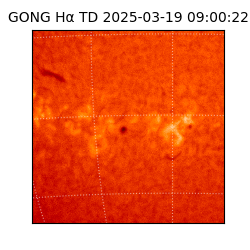 gong - 2025-03-19T09:00:22