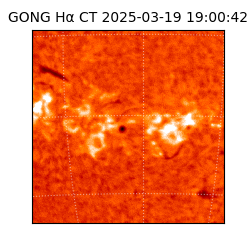 gong - 2025-03-19T19:00:42